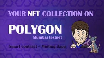 Your NFT Collection on Polygon - HashLips ERC721 smart contract