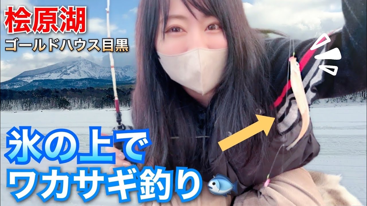 【氷上ワカサギ】今年こそ釣る【桧原湖･ゴールドハウス目黒】