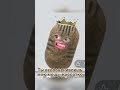 Фантазёр #sledovatel #sleduck #miuchia #vtuber #twitch #мем #мемы #юмор #нарезки