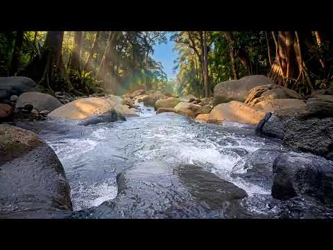 River Sounds for Relaxation | Deep Sleep Water Ambience for Insomnia Relief and Calm Mind