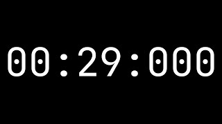 Countdown timer 29 seconds [00:29:000] - White on black with milliseconds