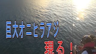 【超巨大魚】沖縄の海のギャング！オニヒラアジを追え！1【大物】