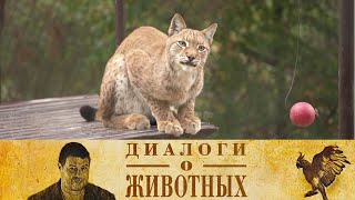 :    . 7-  //    @SMOTRIM_KULTURA