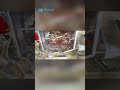 Intelligent Cooking System