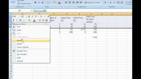Activity2 - Excel - Spreadsheets - Sample Assessment Material - IGCSE ICT