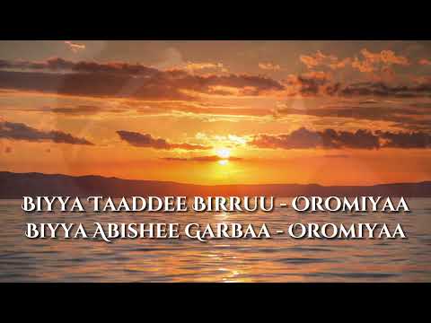 Lyrics Sirba Taaddalaa Gammachuu Bara Baraan 2022