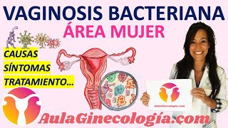 Bacterial Vaginosis (Patients): Symptoms, Causes, Treatment, Relapse - Gynecology and Obstetrics