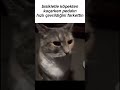 olamaz... #keşfet #memes #mi̇zah #mizahi