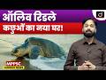 Olive Ridley Turtle Nesting | Blue Flag Beach Puri | Environment |MPPSC Current News | Drishti MPPSC