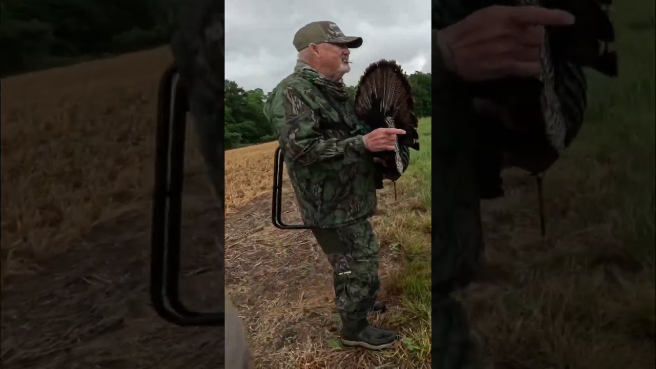 Hunting Turkeys