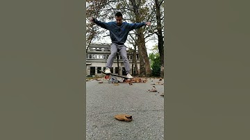 slappy boardslide