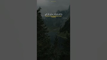 سورة الأحزاب الآية ٥٦ القارئ علي جابر