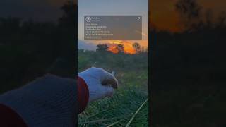 Tangu Apesaah  Lusyana Jelita  Viral Tiktokshort