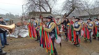 Caii din Mogosesti/ Маланка у Байраках