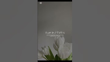 تلاوة القارئ ياسر العجلان ماتيسر من سورة فصلت #المصحف #قرآن #ياسر_العجلان