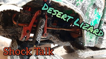 Desert Lizard Shock Discussion (Check Description)