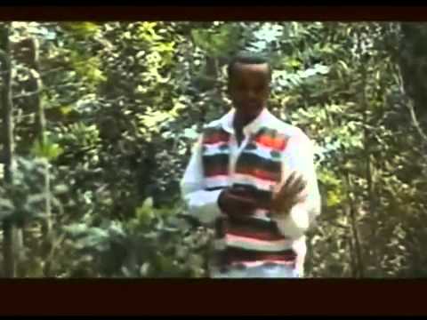 Daadhii Galaan   Yaa Ejersa Oromo Music
