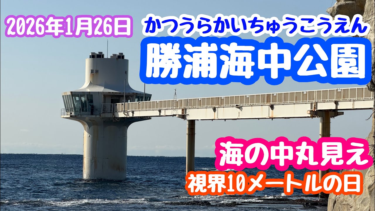 January 26, 2026 Katsuura Underwater Park! Sneak into the