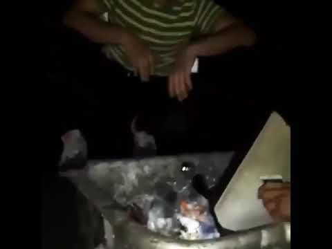 بچه بیا پایین کس شعر نگو سرمون درد گرفت 