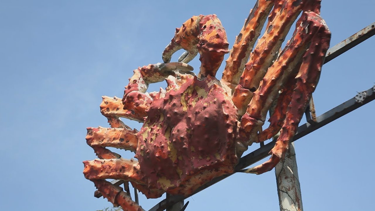 え！どうしてここに蟹の看板、 Signboard of mysterious crab - YouTube