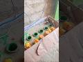 How Does Lithium battery Repair in American #lithiumbattery #shorts