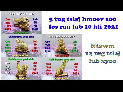 Video: Dab Tsi Pleev Kom Hnav Nyob Rau Lub Ib Hlis Kom Nyiam Txais Hmoov Zoo