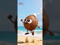 Coconut Song for Kids | Dum Dum Coconut Song | Nursery Rhymes for Children's | Galatta Kids | Shorts