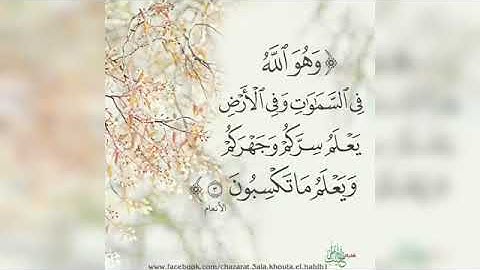 القارئ جمعان باعامر / ( وهواللَّه فى ٱلسمَٰوَٰت وفى ٱلْأَرْض يعلم سركُم وجهركم ويعْلَمُ ما تكسبون )