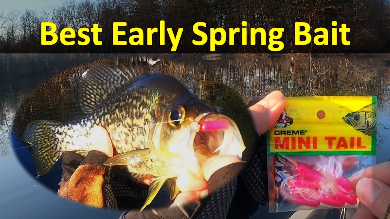 Best Early Spring Crappie Bait YouTube