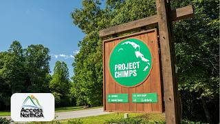 Project Chimps in Fannin County