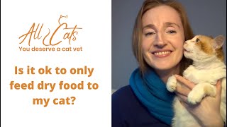 Is it ok to feed my cat dry food only?