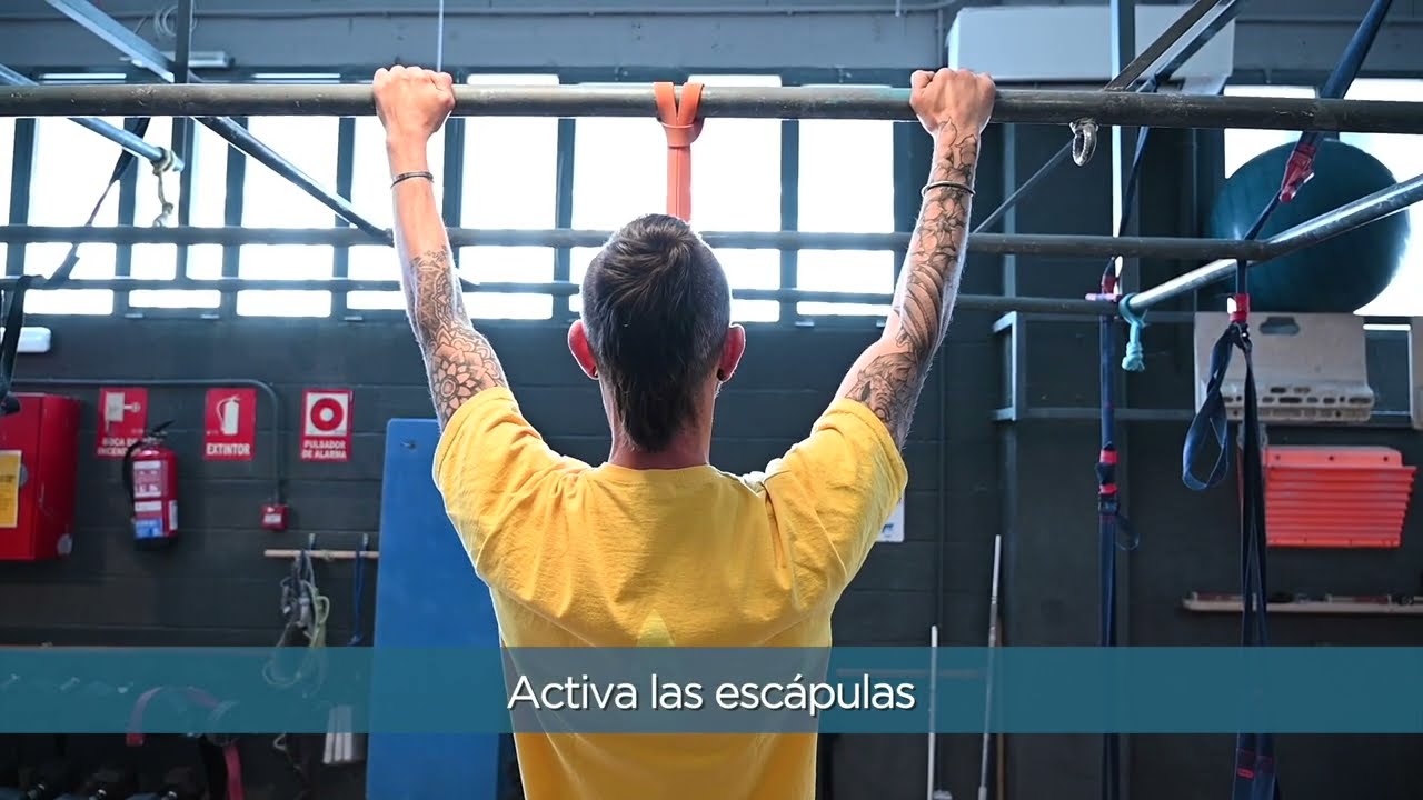 Test fuerza tracción