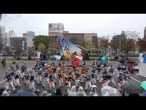 中京大学 晴地舞　2016四日市よさこい祭り11/27（日）　市民公園会場