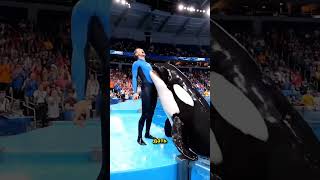 Почему Косатки Едят Лёд?