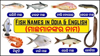 Fish Names In Odia And English With Pictures Odia Fish Name Fish Name Odia To English