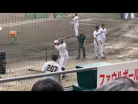巨人  原監督指導 ゲレーロ
