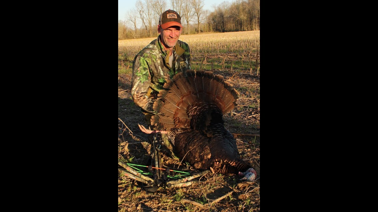 Late Season Turkey Hunting Tatics YouTube
