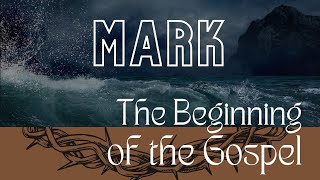 True or False (Mark 12:35-44)