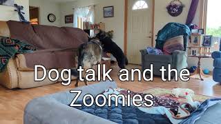 Dog Talk And The Zoomies by RugerCaynine 155 views 2 weeks ago 1 minute, 51 seconds