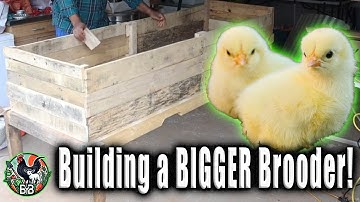DIY Pallet Chick Brooder Build | Expanding Space for Growing Chicks on the Homestead | Pallet Build
