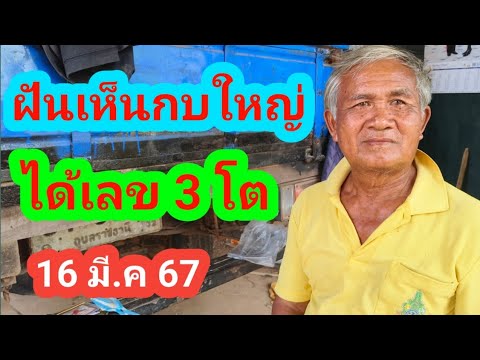 ฝันเห็นกบใหญ่ได้เลข 3 ตัว 16 มีนาคม 2567