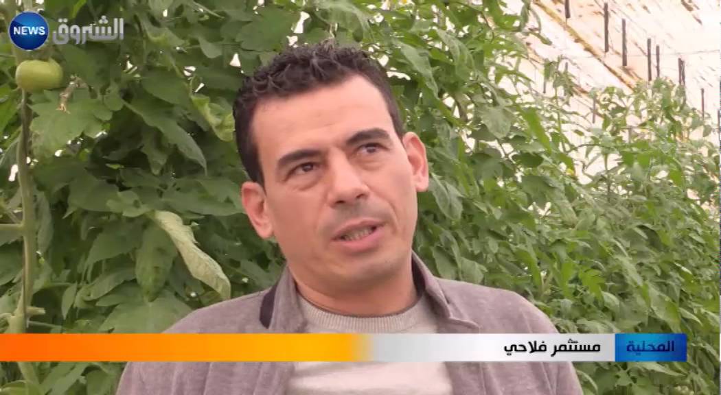 بسكرة: فلاحو مزيرعة يطالبون بالدعم للحفاظ على منتوج الخضروات