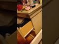 loop