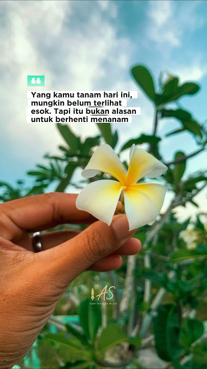 Jangan menyerah, hasil terbaik membutuhkan proses panjang #katabijak #ardaniquote #motivasi #fyp #4u