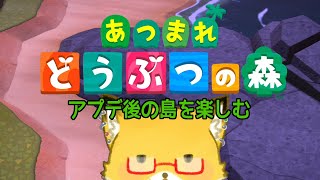 【あつまれどうぶつの森】あつ森アップグレードしました【ちゅうけんぽちこう】