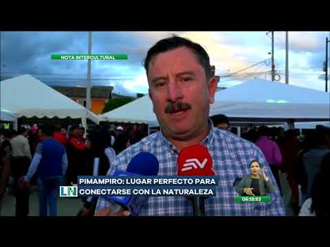 Conocemos las bondades que ofrece el cantón Pimampiro bondades de la piña
