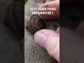 IS IT SOMETHING DECORATIVE ? #metaldetecting #uk