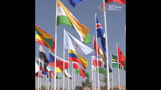 From Marrakech, Morocco, to the World