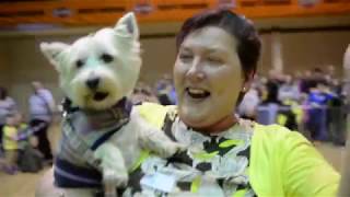 ireland bikefest dog show 2017