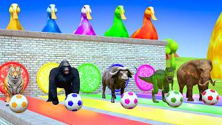 Long Slide Game with Colourful Duck Cow Tiger Gorilla Dog Elephant 3d Animal Game Funny 3d Animals